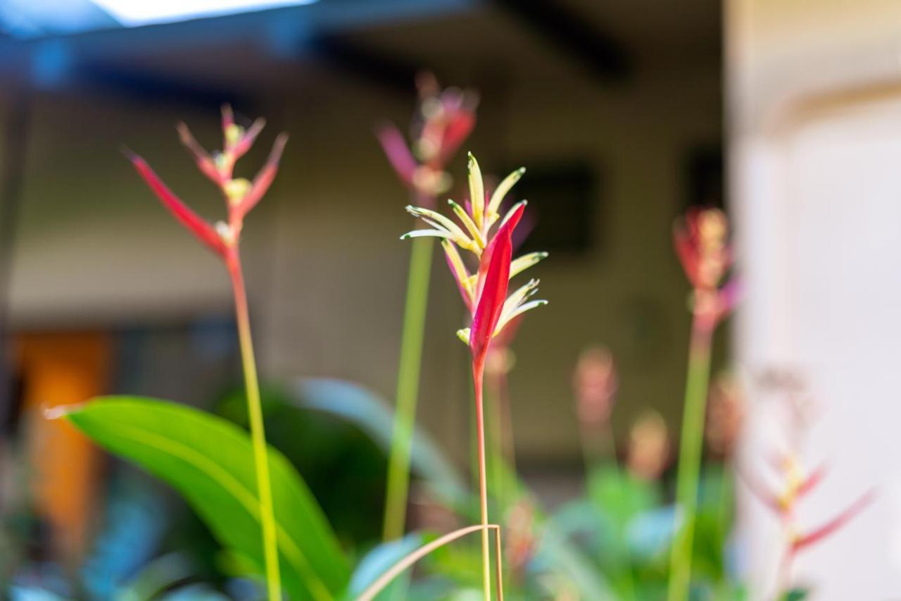 Noahs Hideaway Luxury B&B Lahaina Exterior photo